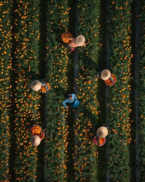 Imagen drone